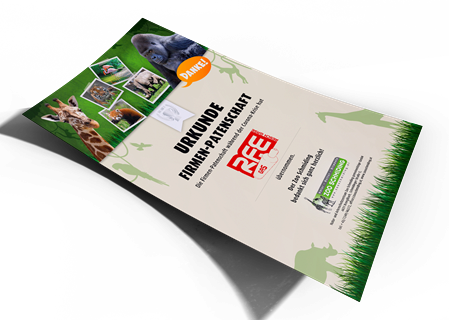 Zoo Schmiding EISEN